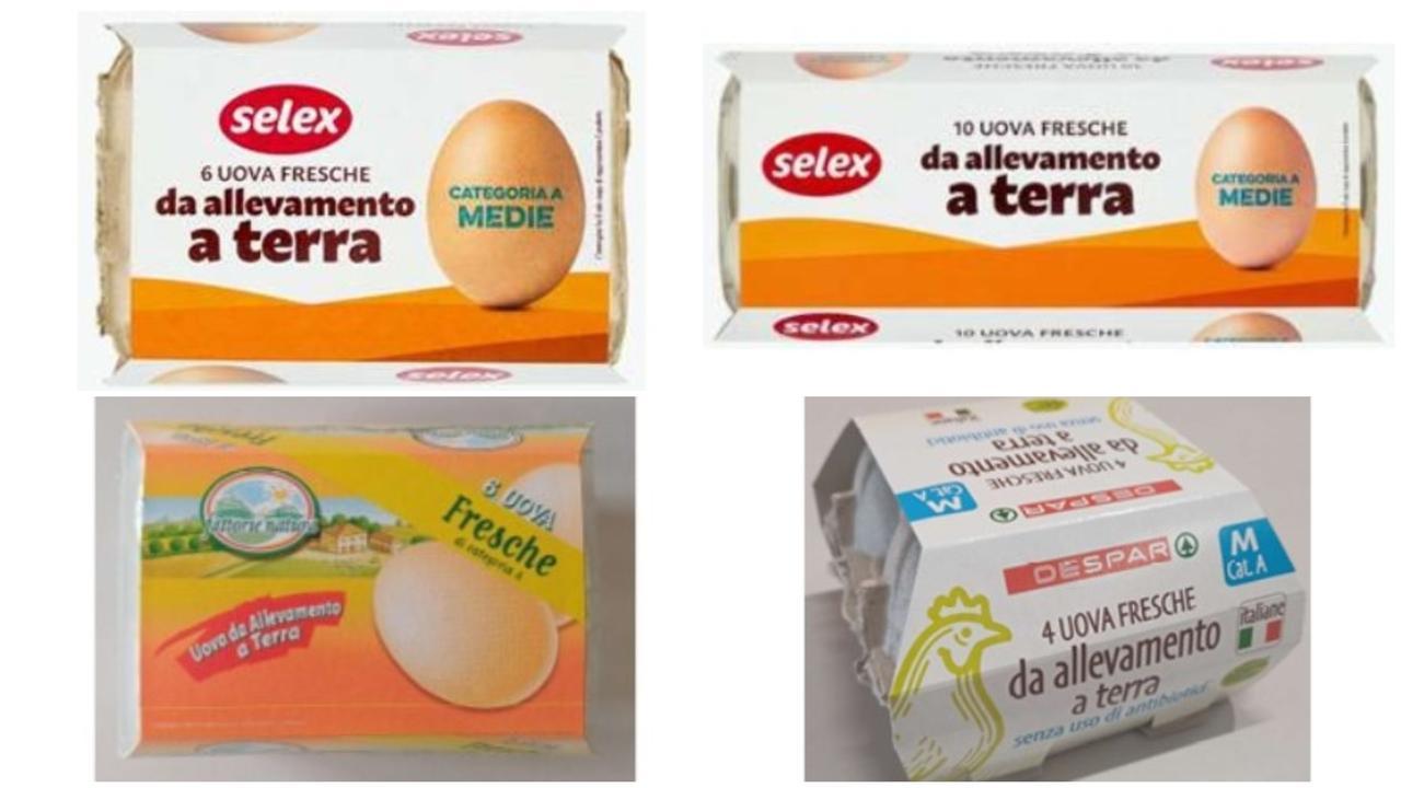 Uova richiamate per salmonella sul guscio: «Se le avete, non consumatele»