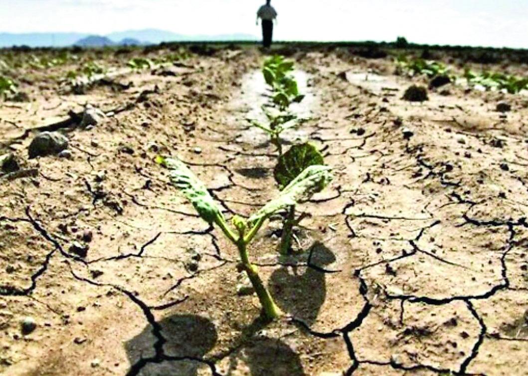 Sardegna, torna lo spettro della siccità: allevatori e agricoltori lanciano l’allarme. Cualbu: «L’annata è pessima»