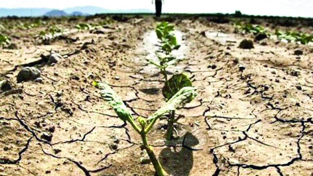 Sardegna, torna lo spettro della siccità: allevatori e agricoltori lanciano l’allarme. Cualbu: «L’annata è pessima»