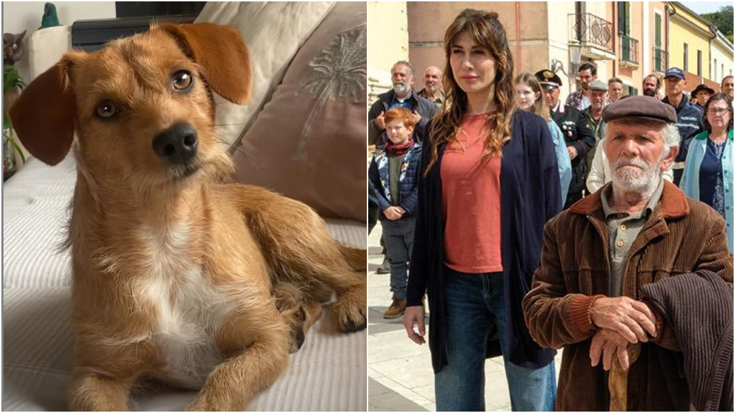 Virginia Raffaele duetta con Pintu: il cane incontrato in Sardegna sul set di “La vita va così” – VIDEO