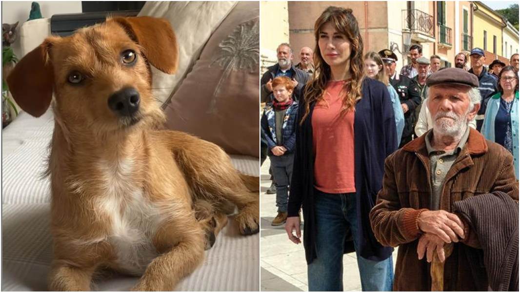 Virginia Raffaele duetta con Pintu: il cane incontrato in Sardegna sul set di “La vita va così” – VIDEO