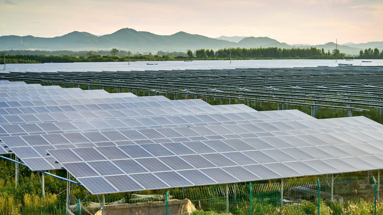 In Toscana il maxi impianto da quasi 8mila pannelli agrivoltaici: La Regione ha detto “Sì”, ecco dove sorgerà