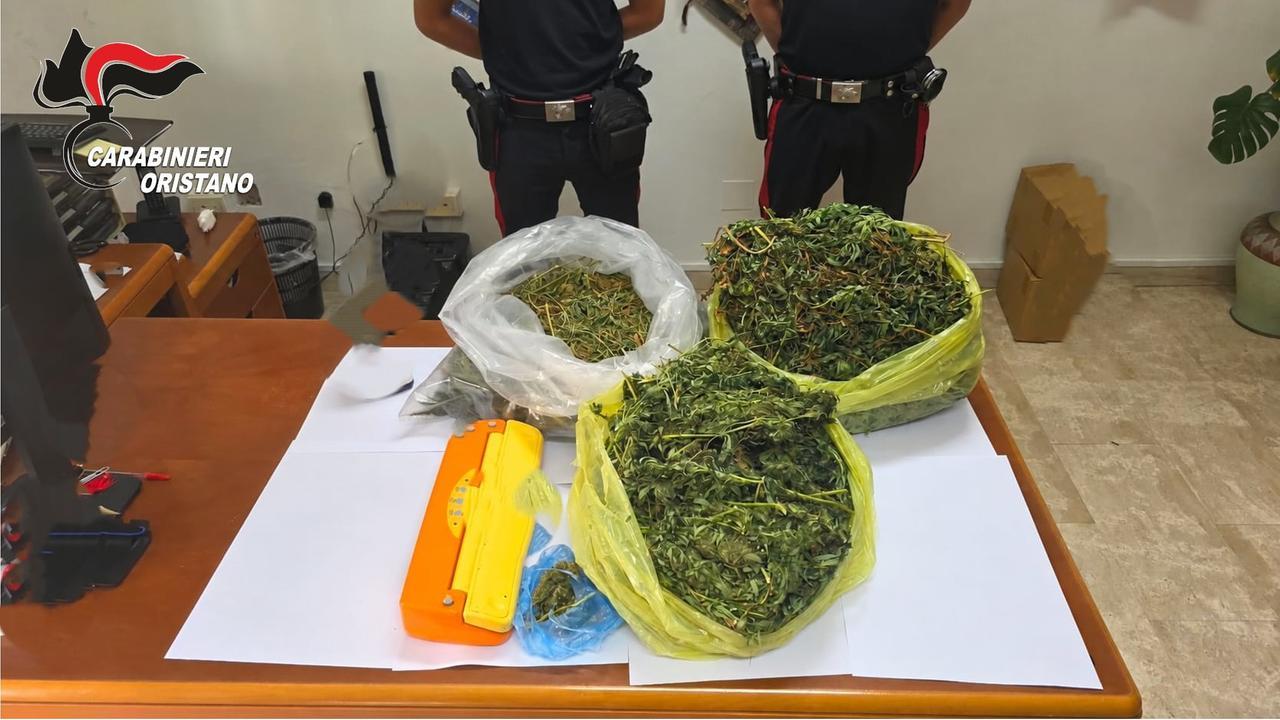 In casa avevano allestito la serra della cannabis: arrestata una coppia