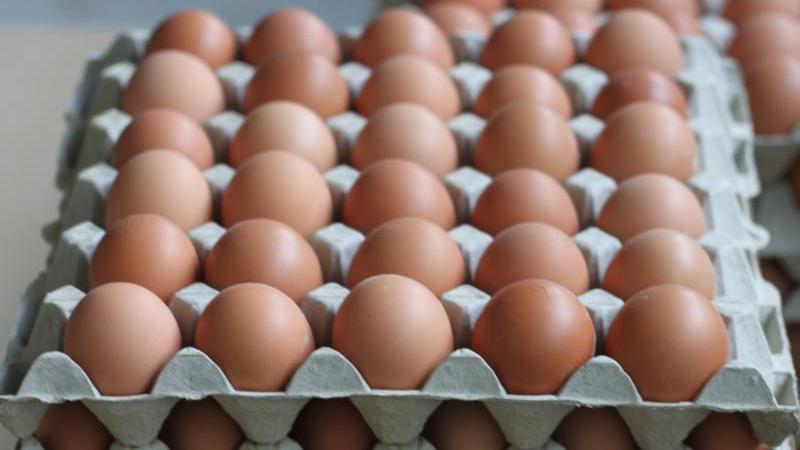 Salmonella su 19mila uova confezionate a Codigoro: maxi ritiro nei supermercati Selex, Coop e Despar