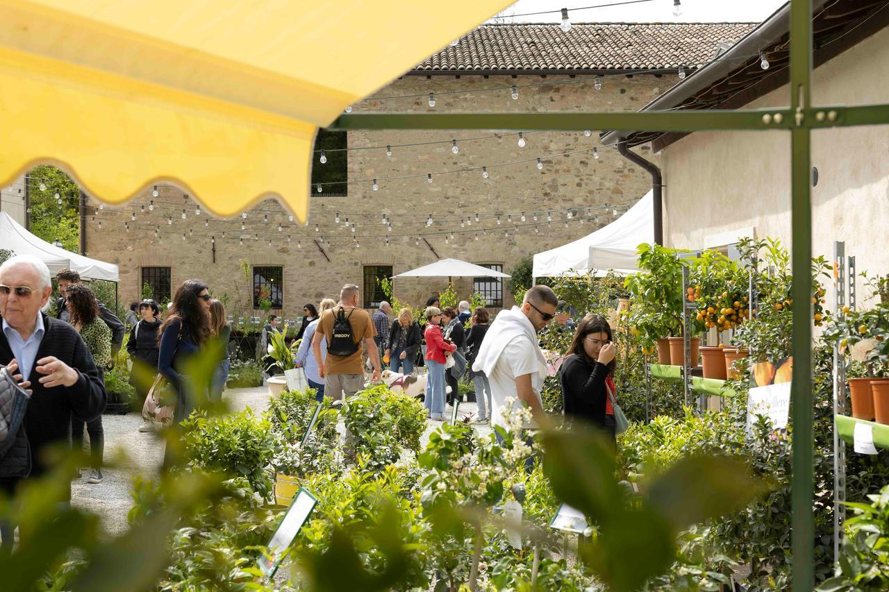 Borgo Plantarum torna a Castellarano: un weekend tra fiori rari, giardini biodiversi e laboratori