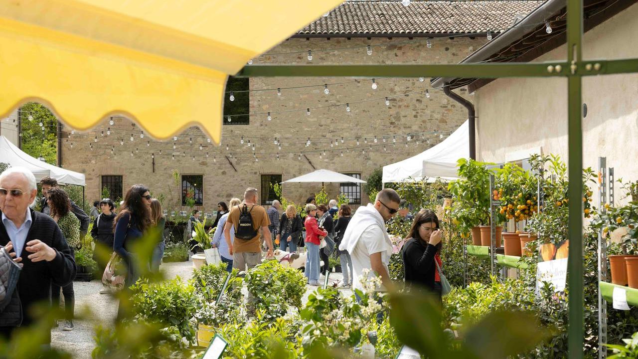 Borgo Plantarum torna a Castellarano: un weekend tra fiori rari, giardini biodiversi e laboratori