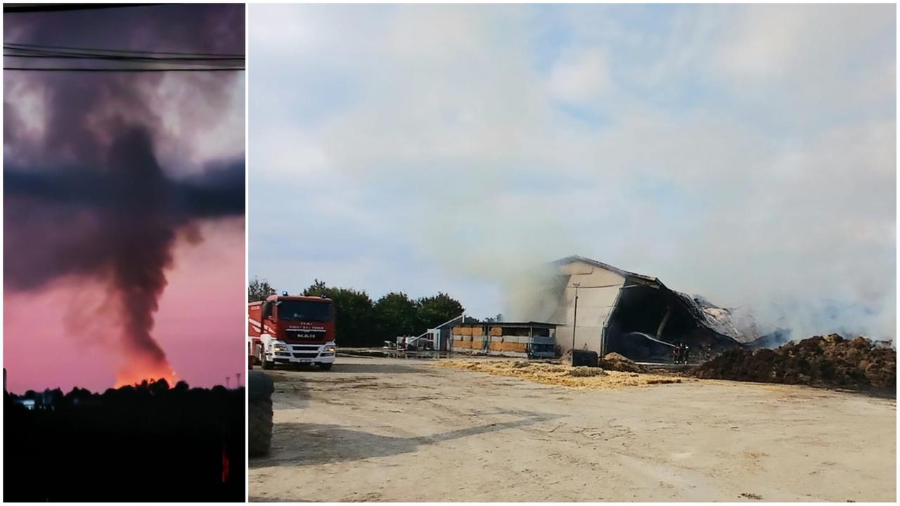 L'incendio nell'azienda agricola di Castelfranco