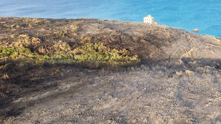 Inferno di fuoco sull’isola di Santa Maria, 35 ettari distrutti dalle fiamme: «Ora dateci più sicurezza»