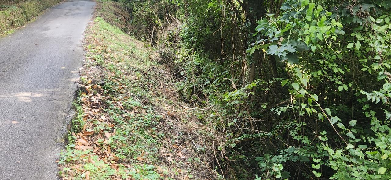 Bagni di Lucca, fondi per cinque interventi di messa in sicurezza stradale