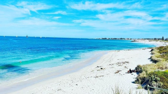 Panico in spiaggia, squalo attacca e uccide un bagnante: cosa sappiamo