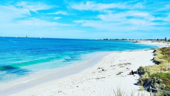 Panico in spiaggia, squalo attacca e uccide un bagnante: cosa sappiamo