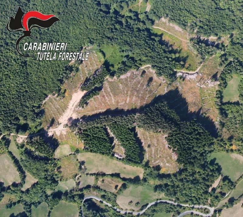 Ventasso, per il bosco abbattuto e mai ripristinato in sei accusati di disastro ambientale