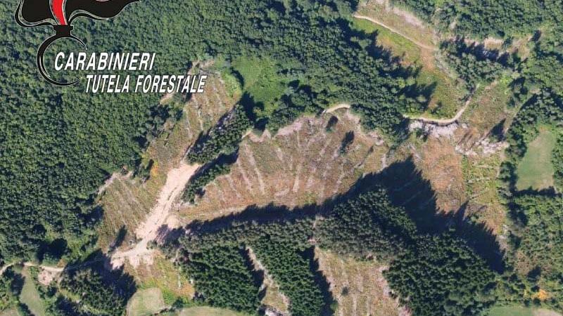 Ventasso, per il bosco abbattuto e mai ripristinato in sei accusati di disastro ambientale
