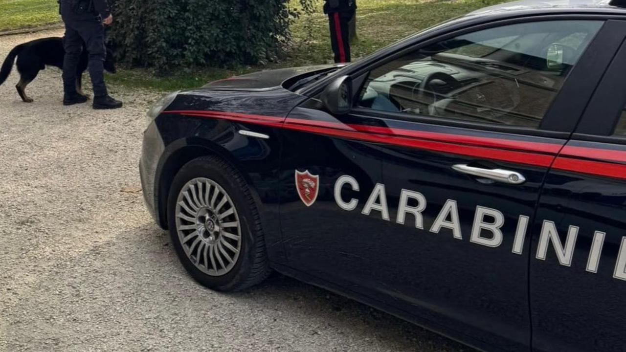 Maltrattamenti e minacce alla madre per avere soldi