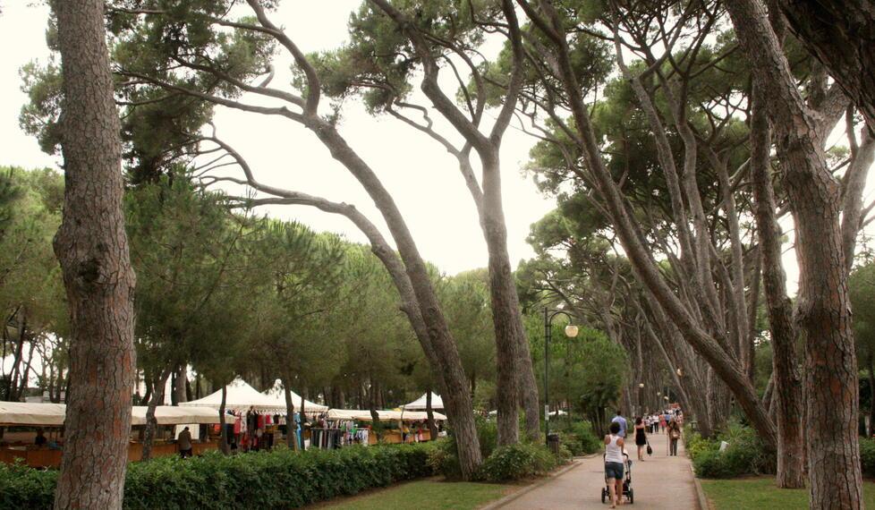 Castiglioncello, l’estate 2026 è dei turisti americani: «Mai visti così tanti»