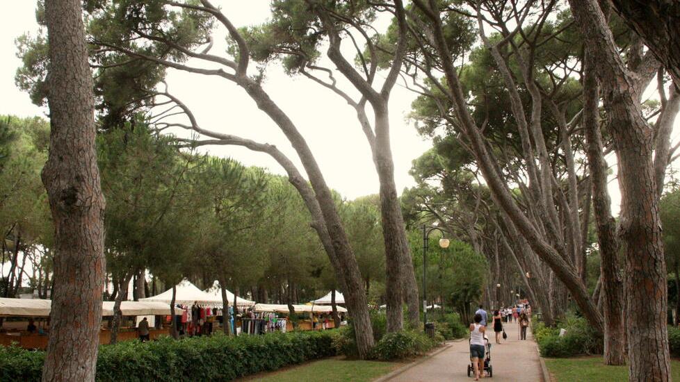Castiglioncello, l’estate 2026 è dei turisti americani: «Mai visti così tanti»