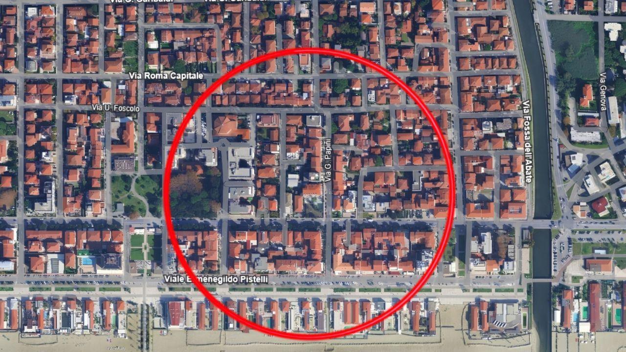 
	La zona

