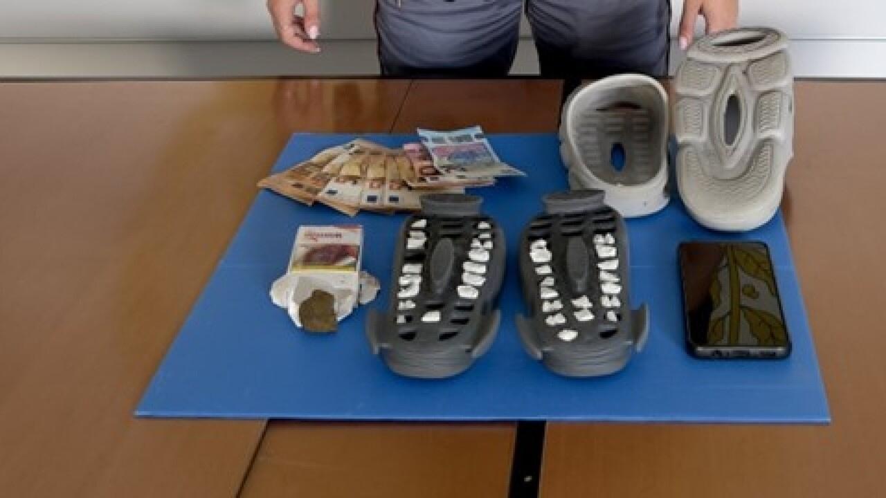 La droga sequestrata a Viareggio 