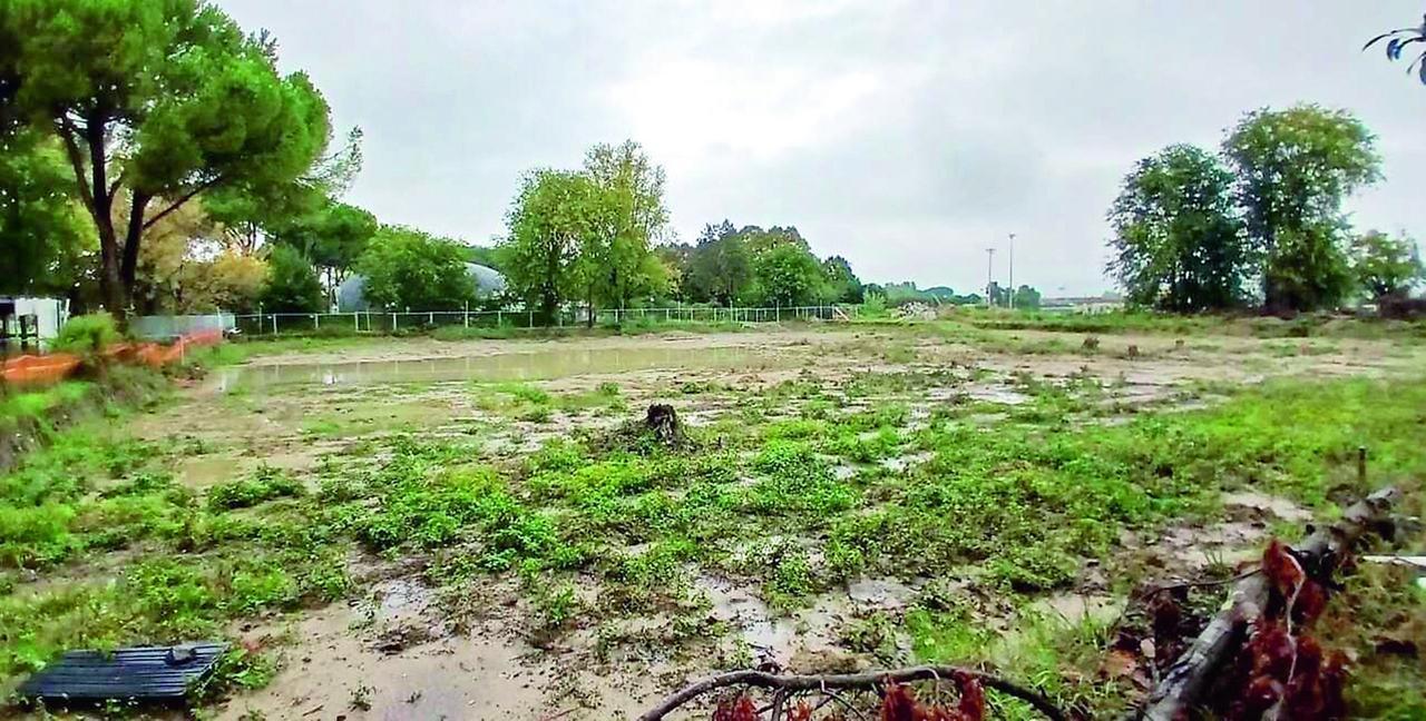 Il Comune di Prato attinge 5 milioni dall’avanzo di bilancio dopo la perdita dei fondi Pnrr