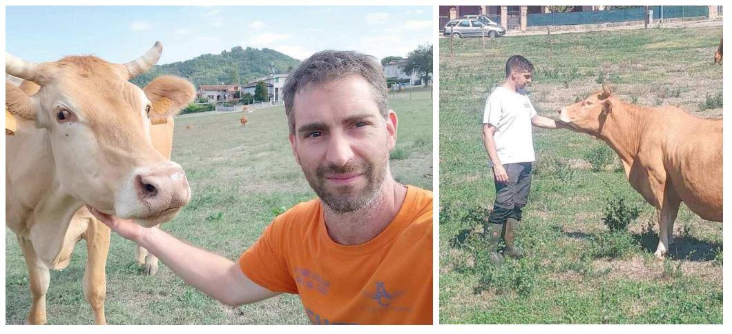 Lasciano il lavoro in fabbrica per allevare vacche rosse: la scelta dei fratelli Cristian e Daniele Cazzola