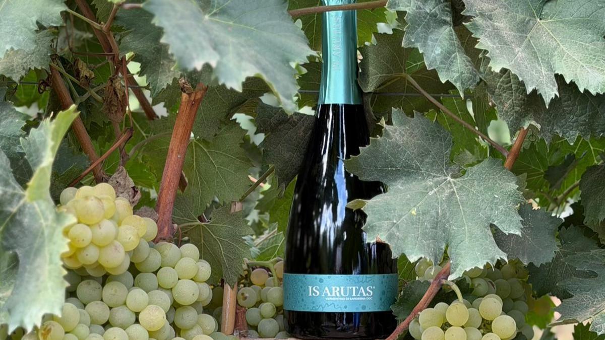 Cantina del Rimedio, vernaccia e tradizione ma spiccano le bollicine