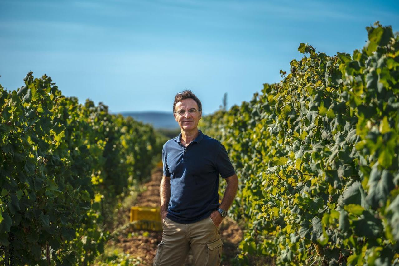 Sella & Mosca, vino e turismo nelle tenute di Alghero