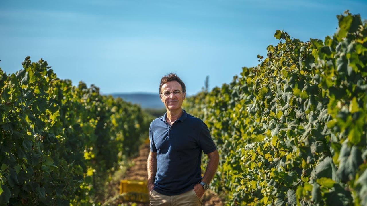 Sella & Mosca, vino e turismo nelle tenute di Alghero