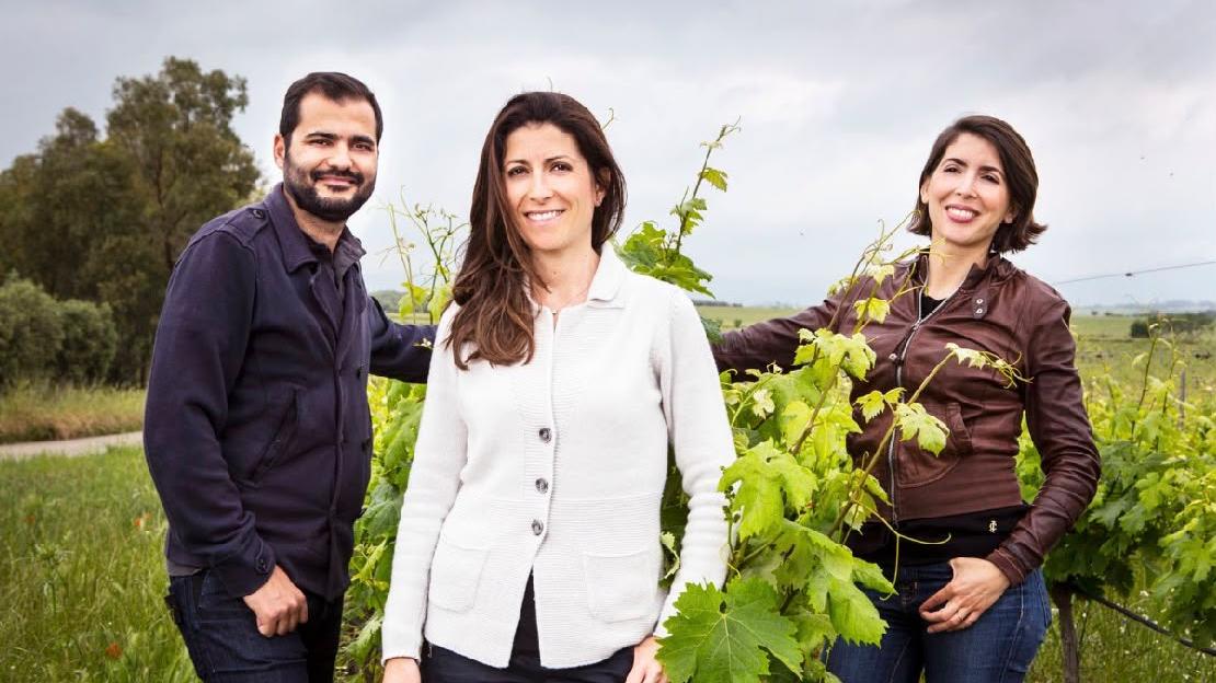 Cantina Argiolas: «Questo sarà l’anno del Vermentino»