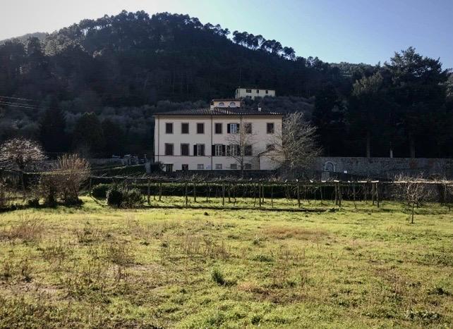 
	La Villa Mansi di Vorno&nbsp;

