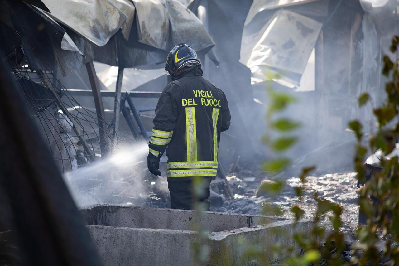 
	L'intervento dei vigili del fuoco a Castelnuovo

