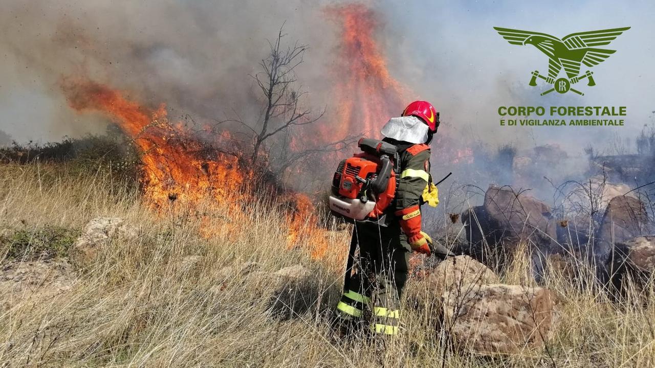Incendi, tre fronti attivi: in azione squadre di terra ed elicotteri