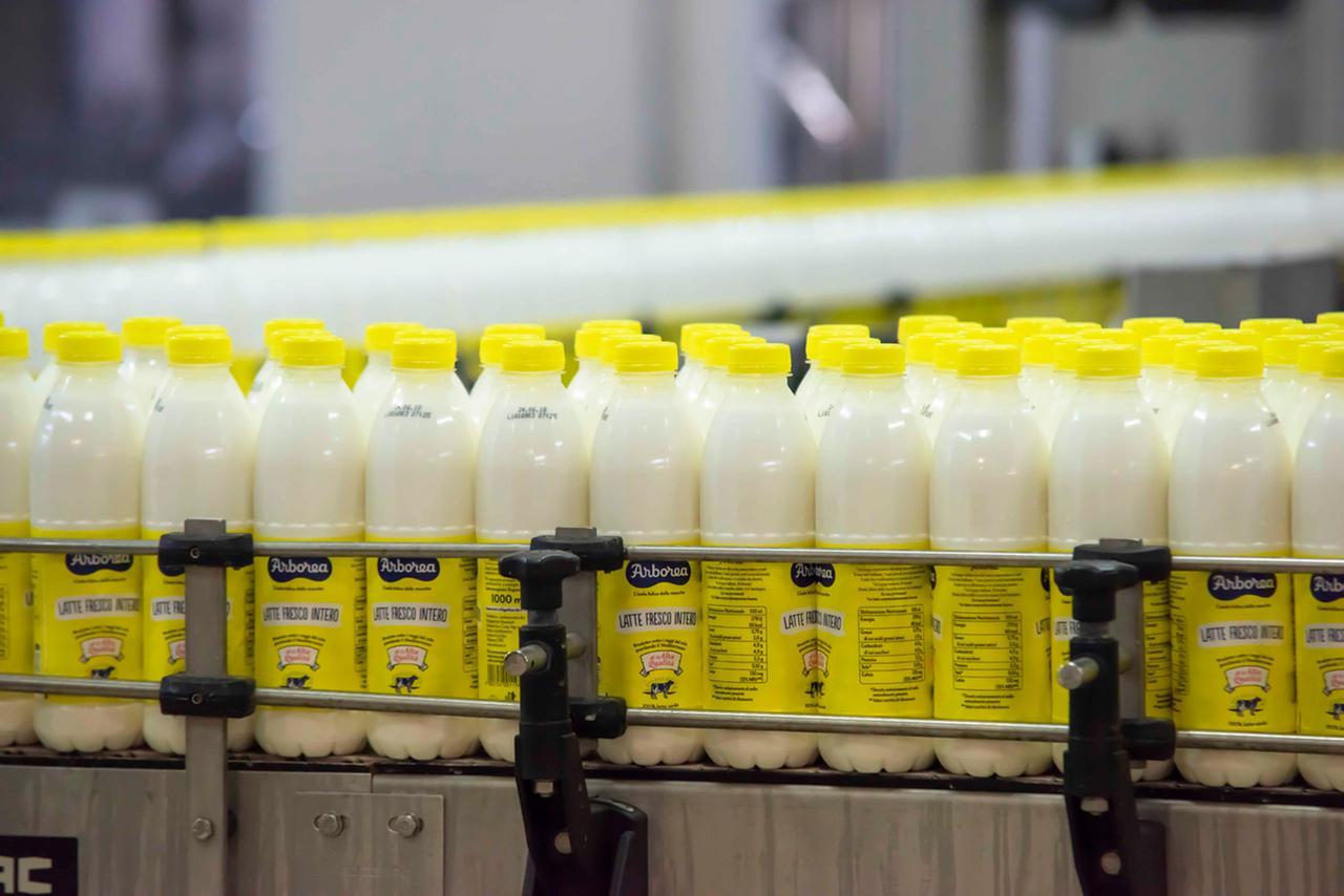 Energia, trasporti e caldo estremo: il comparto del latte sardo è sotto pressione: «Serve un sostegno»