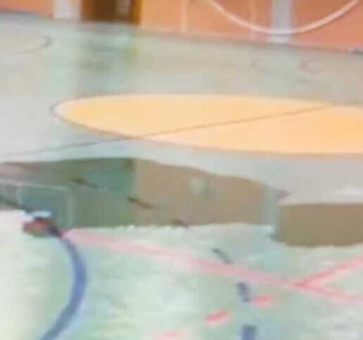 Camigliano, tetto della palestra pieno di buchi: assegnati i lavori di riparazione<br>
