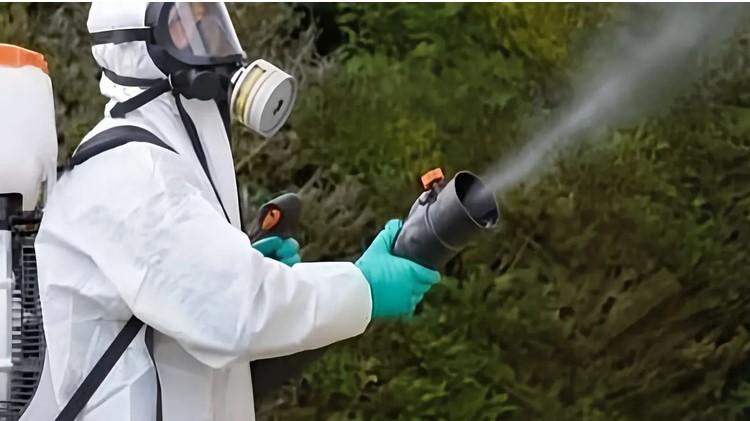 Prato, un nuovo caso di Dengue a Mezzana