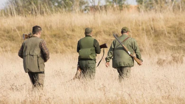 Ha troppe cartucce: fucili sequestrati e porto d’arma addio – Ecco che cosa è successo