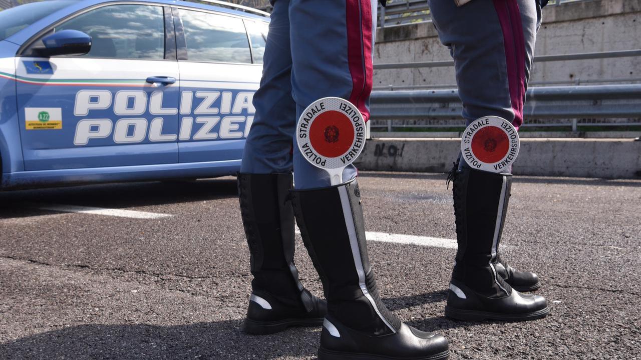 Sette setter muoiono durante il viaggio verso la Lapponia: erano nei box nel bagagliaio pieno