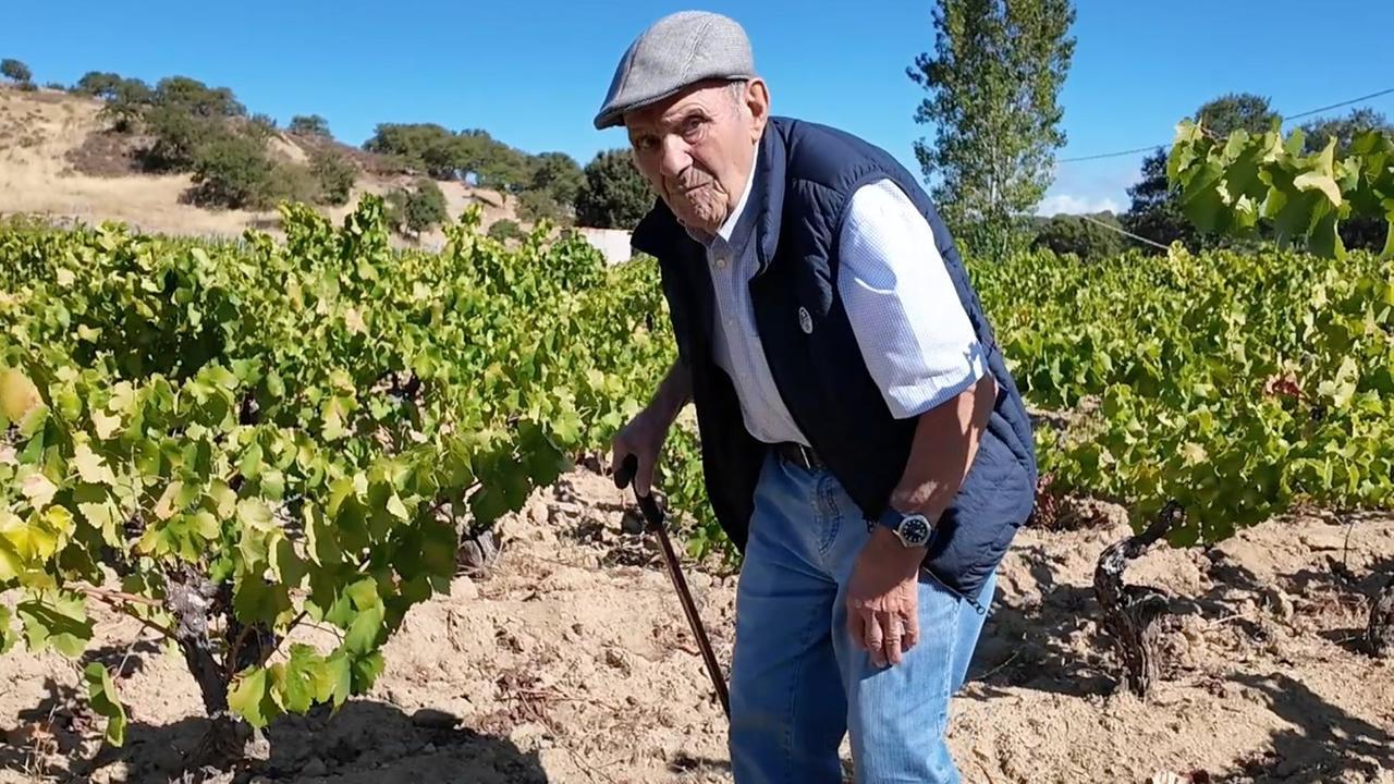 Mamoiada, a 95 anni va ancora in vigna: tziu Giuseppe Sedilesu tra i filari del suo cannonau