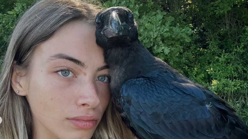 «Morla uccisa per divertimento»: l’indignazione social per il corvo imperiale abbattuto da un cacciatore