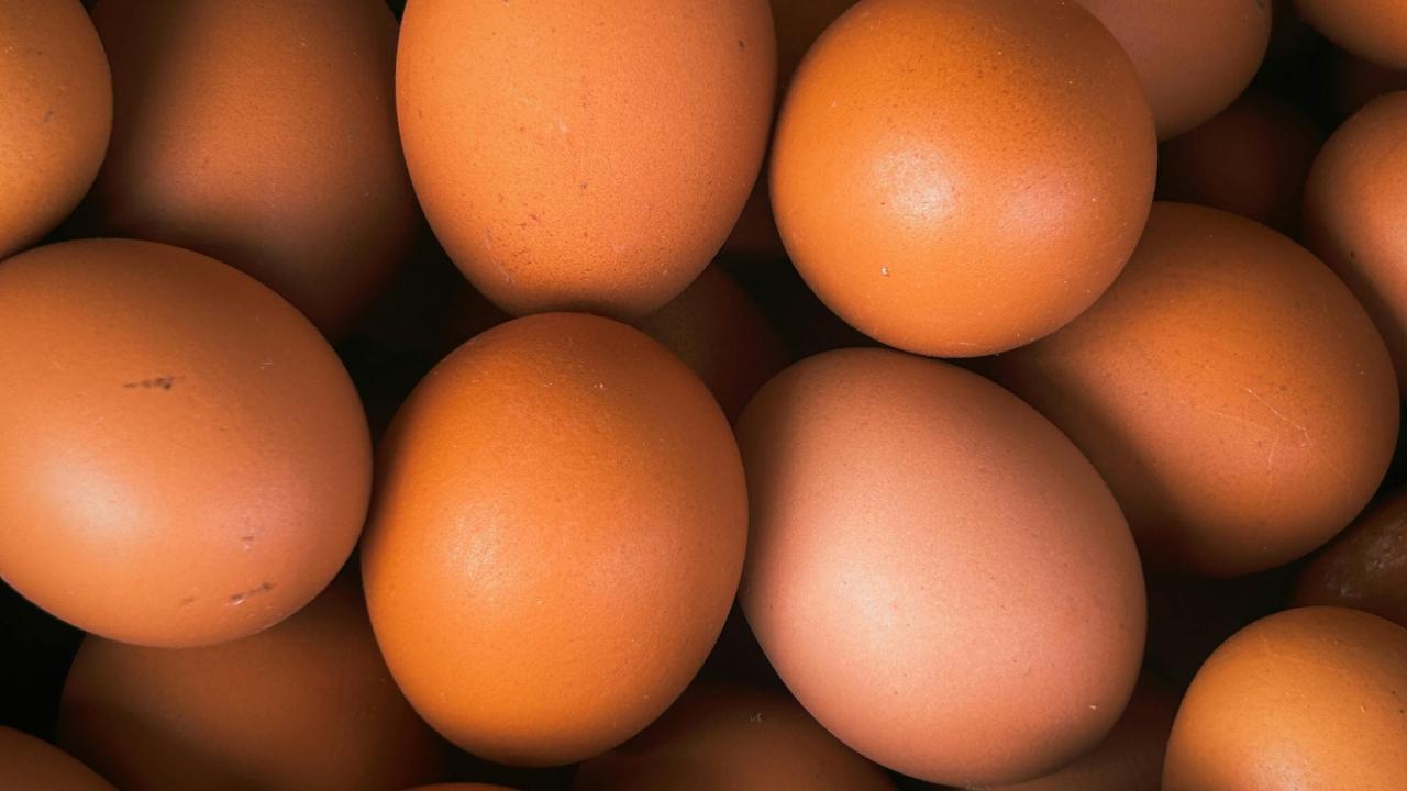 
	Uova fresche ritirate dal mercato&nbsp;

