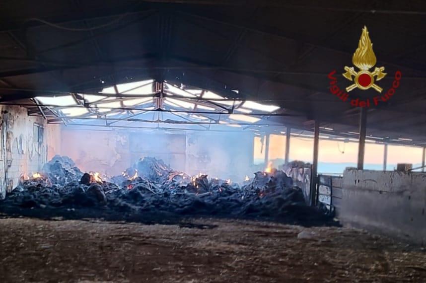 Incendio nell’azienda agricola, distrutto un capannone: danni ingenti