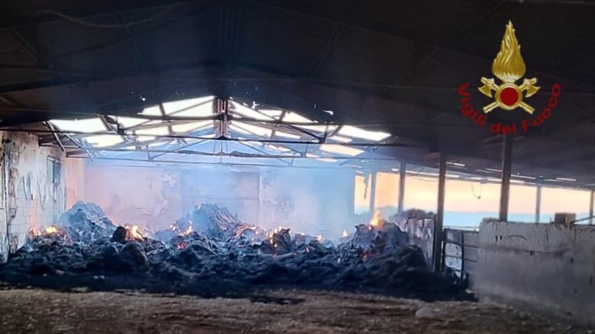 Incendio nell’azienda agricola, distrutto un capannone: danni ingenti