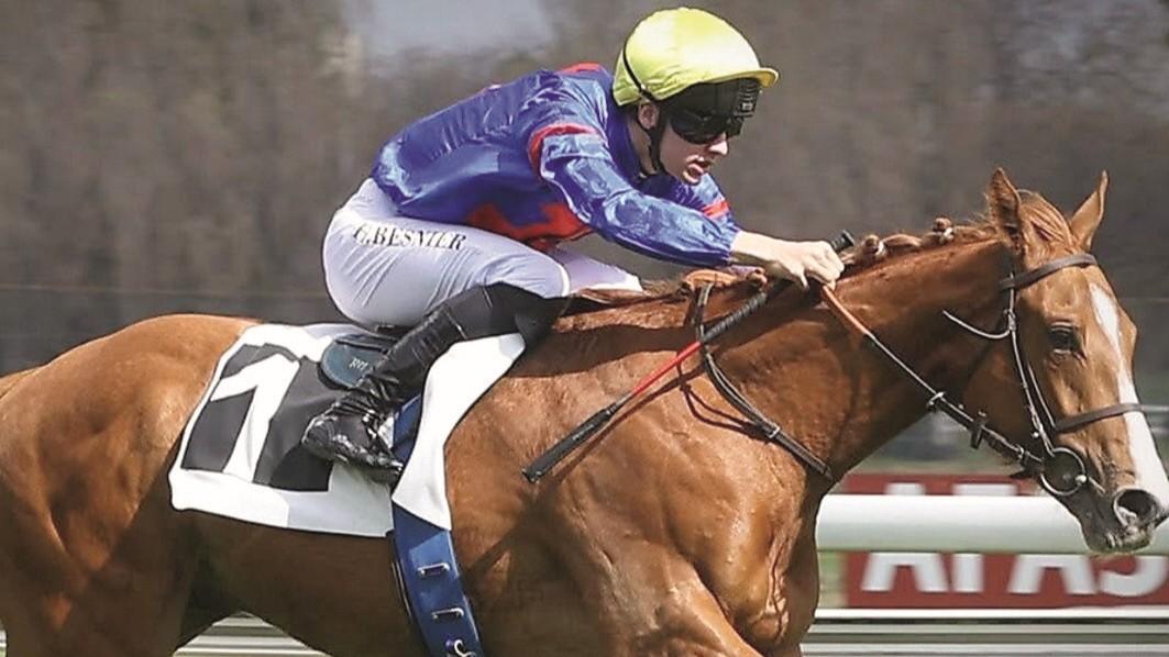 Al galoppo da Usini fino a Parigi: 100 vittorie per Antonio