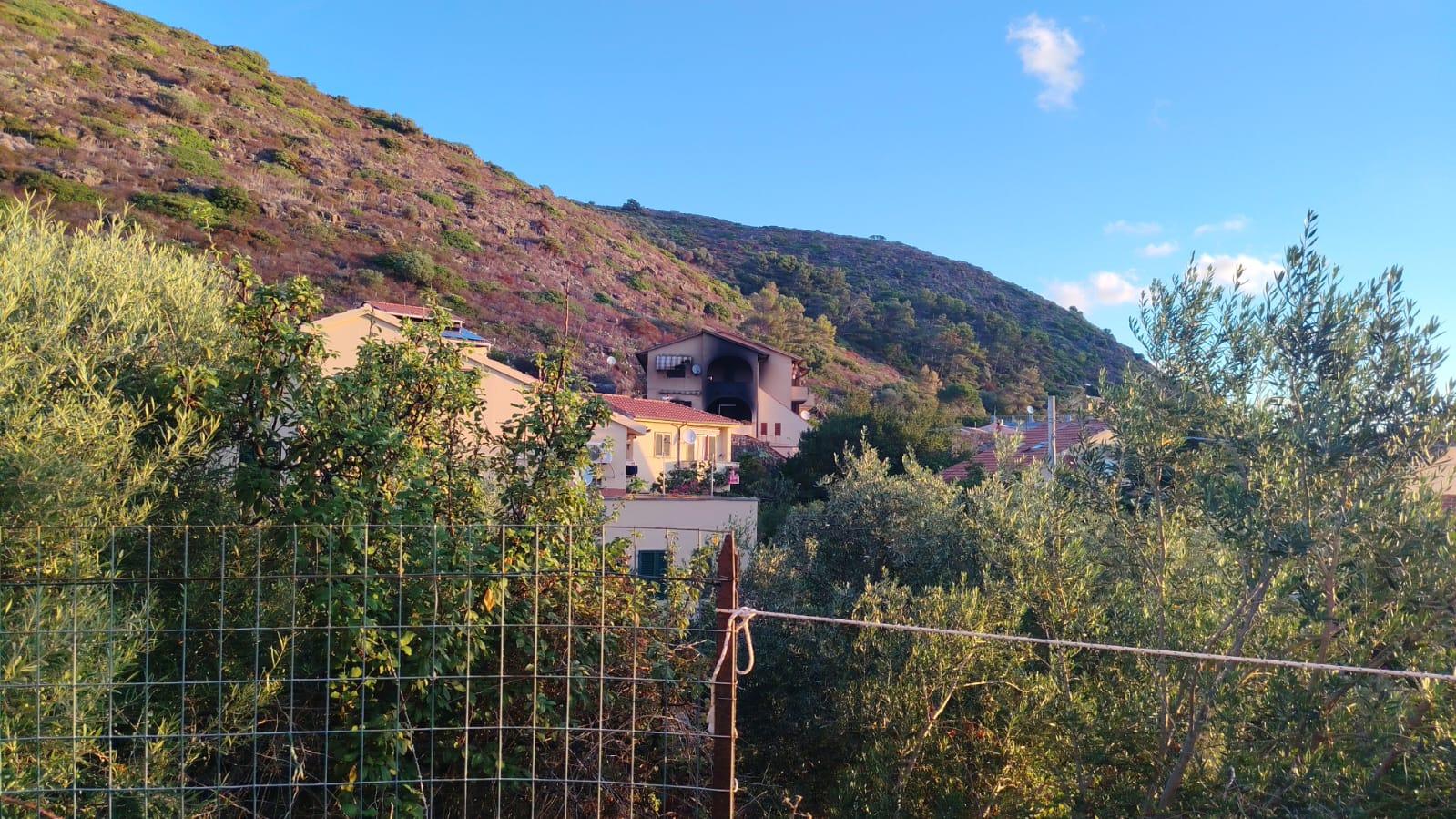 L'incendio visto da lontano