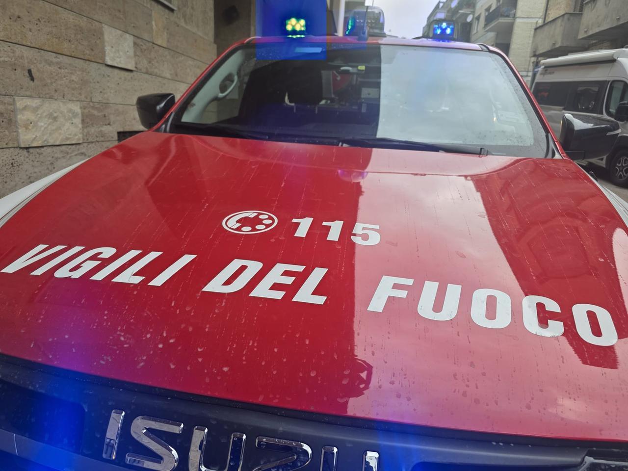 Arezzo, esce a cercare funghi con il nipote: donna trovata morta nei boschi