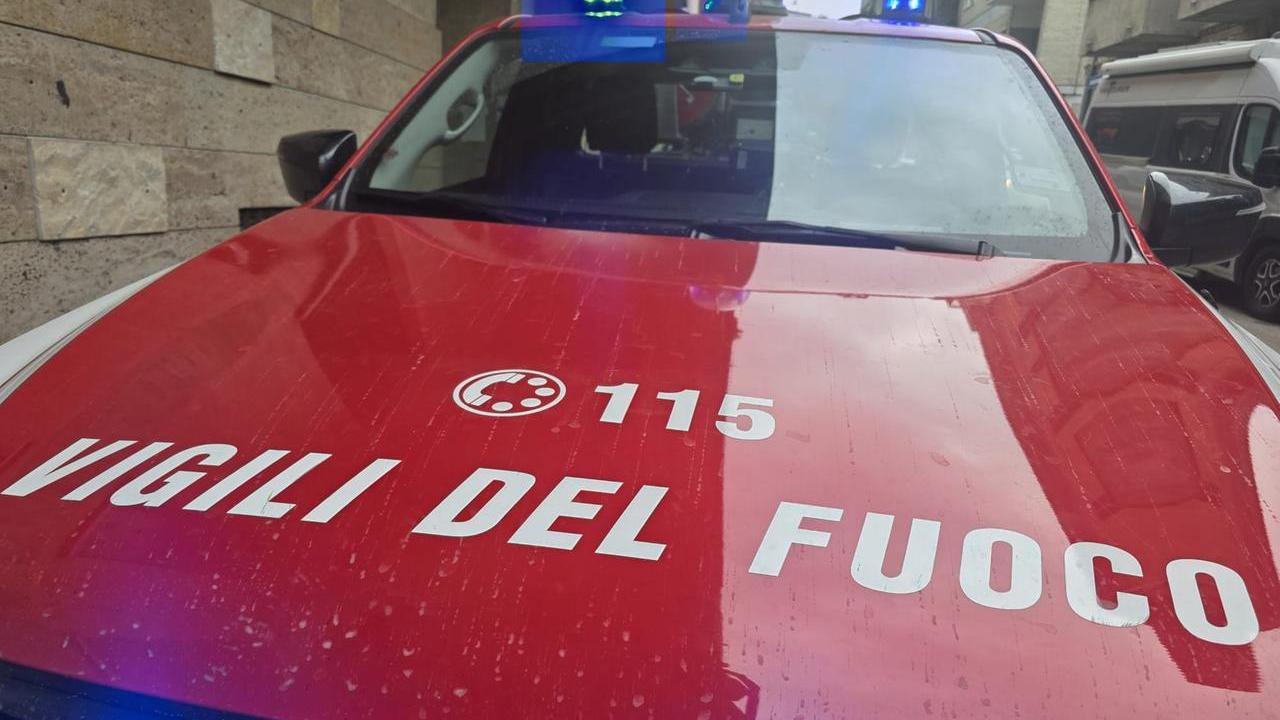 Arezzo, esce a cercare funghi con il nipote: donna trovata morta nei boschi