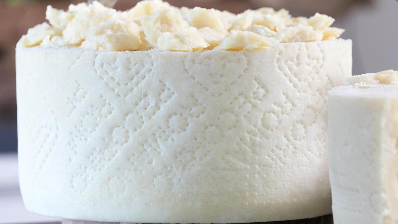 Pecorino Romano, nasce PR Service: alleanza fra i produttori della filiera per gestire produzione, scorte e mercati – I dettagli