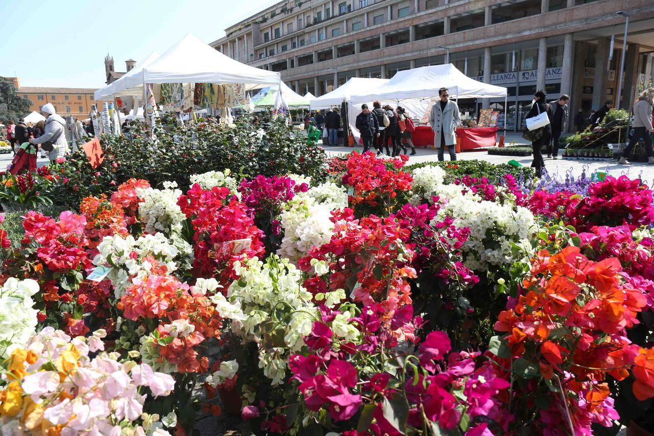 Torna Reggio in fiore: il centro storico diventa un giardino