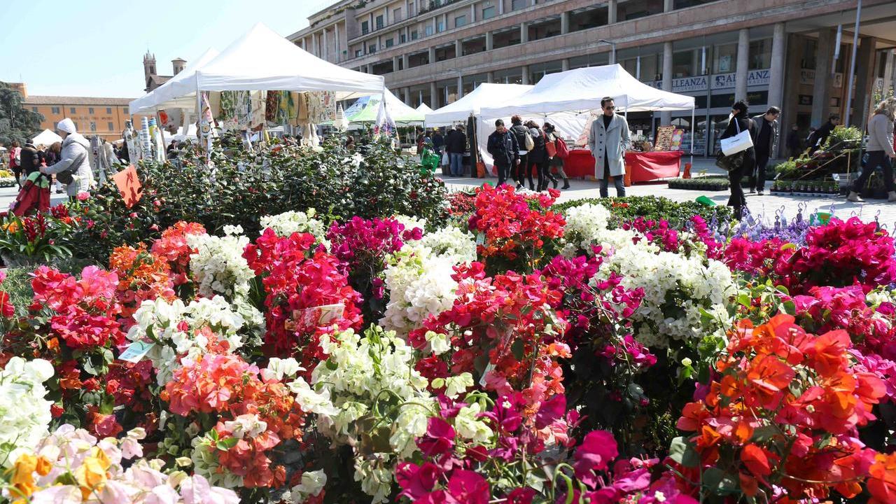 Torna Reggio in fiore: il centro storico diventa un giardino