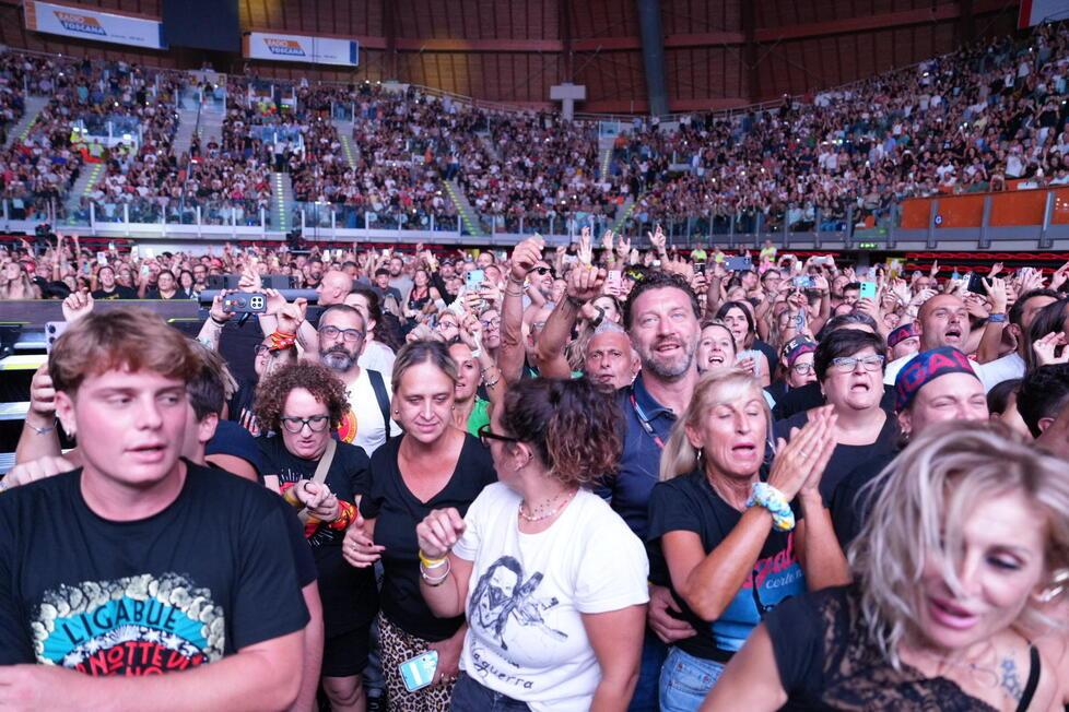 Il pubblico