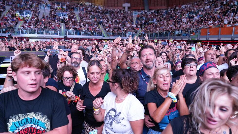 Il pubblico